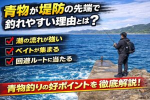 青物が堤防の先端で釣れやすい理由。潮のヨレができる、ベイトが溜まりやすい、水深が深い、回遊ルートに当たる、ナブラが起こりやすい。釣太郎