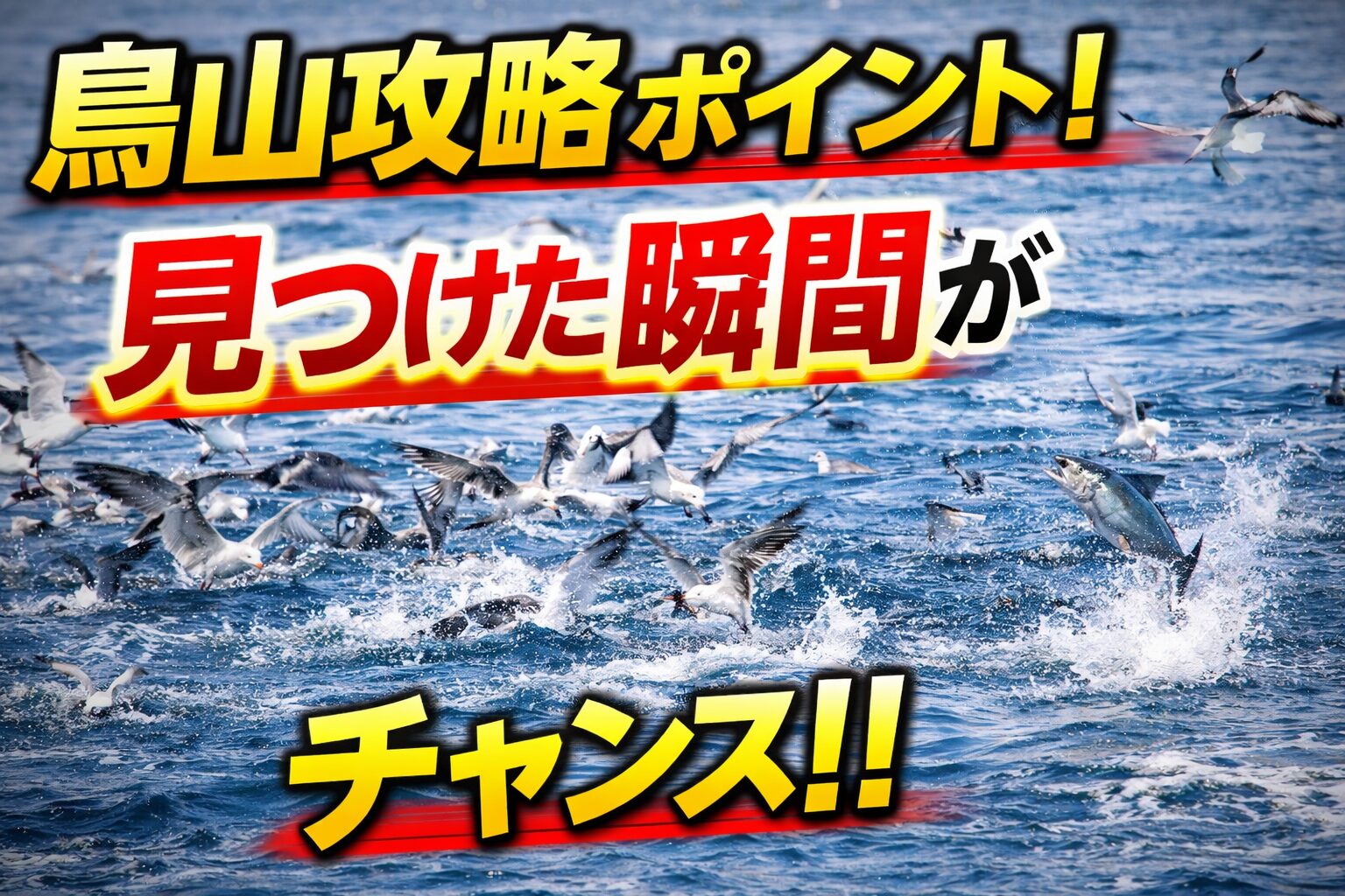 鳥山の正体は「イワシ」鳥山のほとんどはカタクチイワシ。このイワシが集まるとソウダガツオ、 カツオ、青物が付きます。釣太郎
