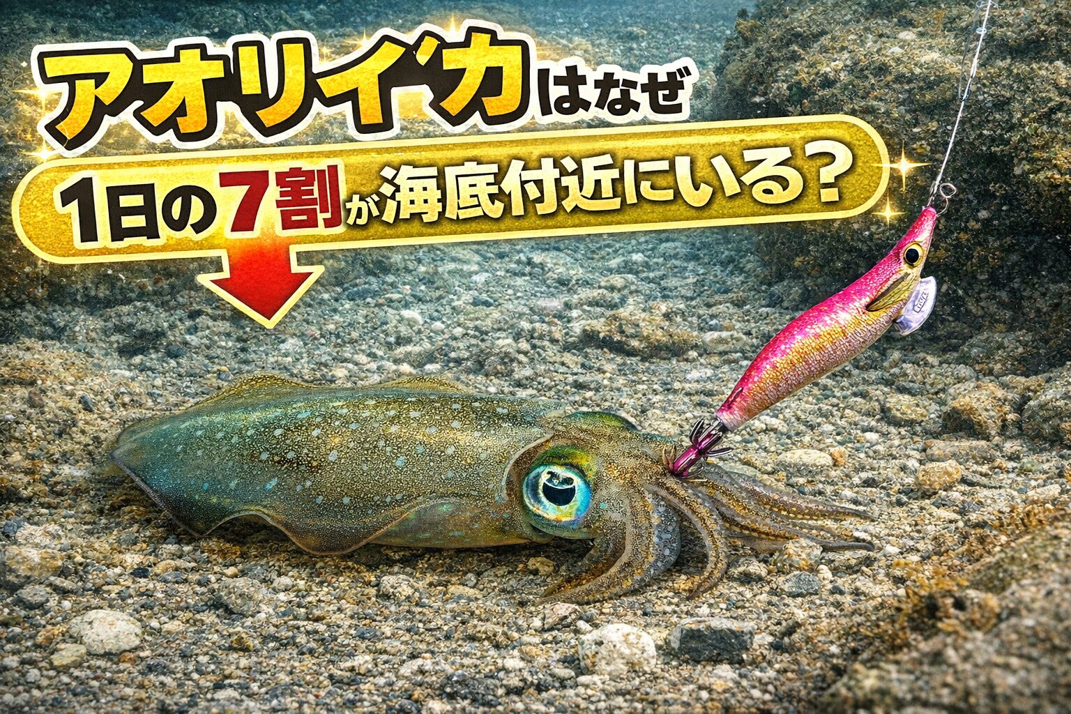 アオリイカが海底付近にいることが多い理由は、 待ち伏せしやすい。身を隠しやすい。昼は浮くより安全。潮をかわして体力を温存しやすい。藻場や産卵場と結びつきが強い。釣太郎