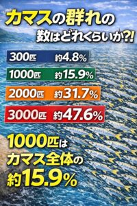 カマス群れ、300匹＝約4.8％、1000匹＝約15.9％、2000匹＝約31.7％、3000匹＝約47.6％。釣太郎