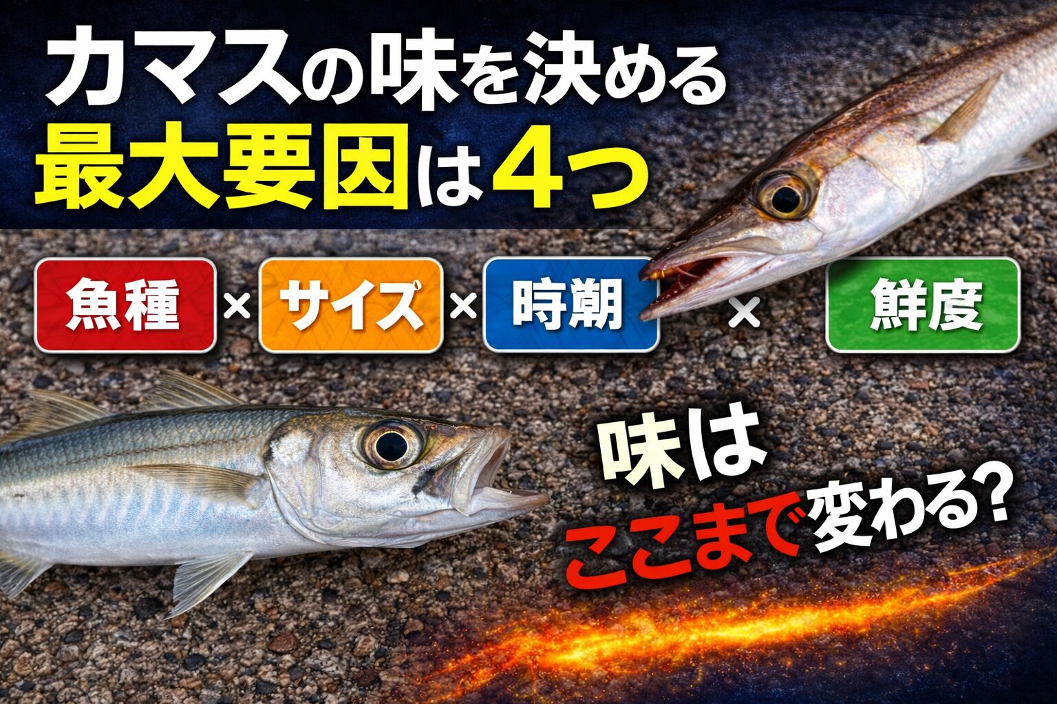 カマスの味を決める最大要因は、魚種。サイズ。 時期。鮮度。この4つ。釣太郎