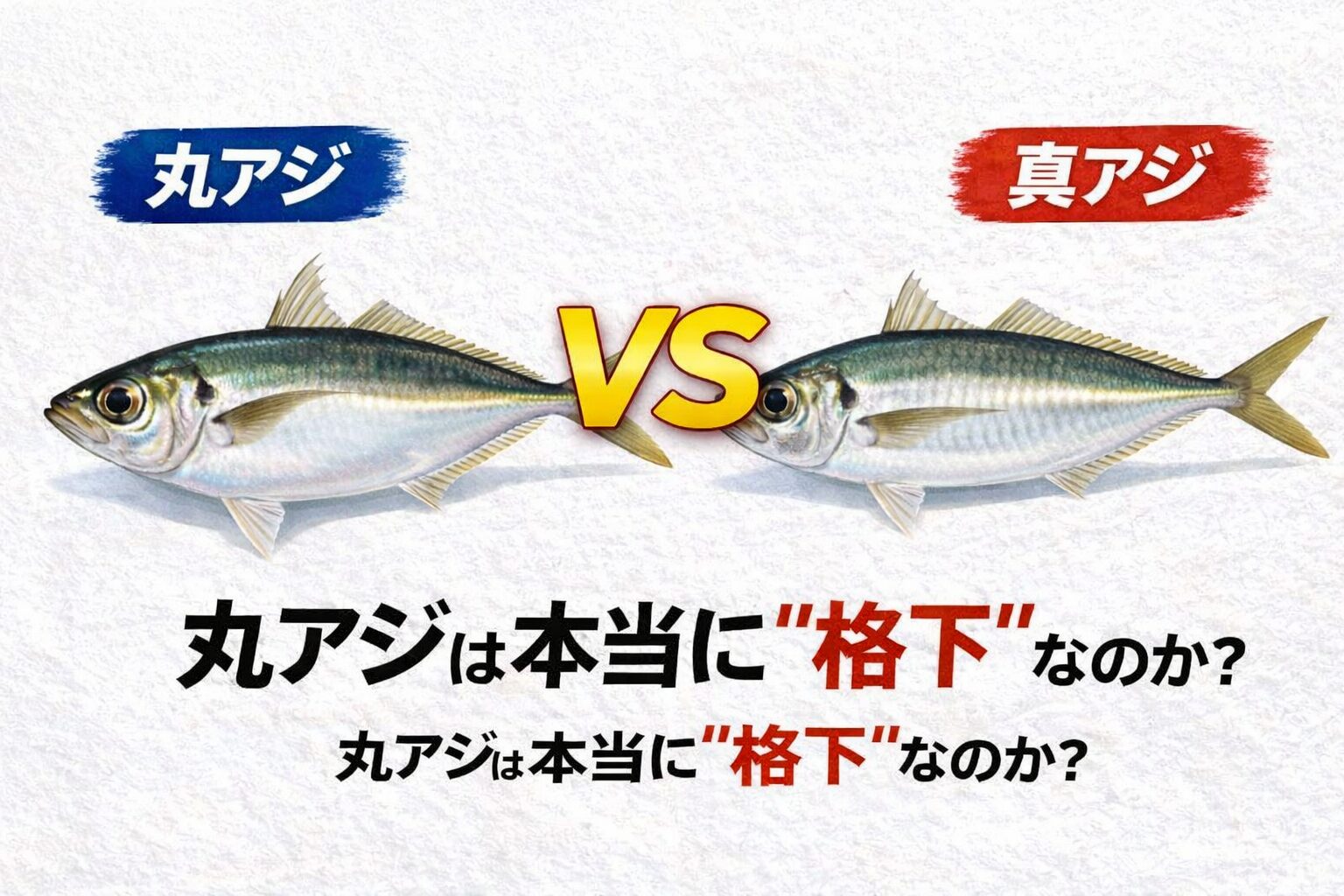 マアジ対丸アジ。身質総合比較。脂安定性、真アジやや優勢。締まり・加熱適性。丸アジ優勢。旨味量、ほぼ同等。結論。 丸アジは“真アジの劣化版”ではない。釣太郎