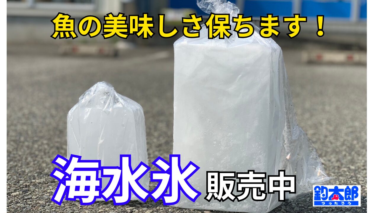 海水なので“浸透圧ショック”が起きない。真水に魚を入れると、浸透圧の関係で体表が白く濁ることがある。しかし海水氷は海水ベースなので、魚の体表がダメージを受けない。見た目の美しさが保たれるのはこのため。釣太郎