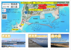 青物釣りどこがいい？和歌山県みなべ町堺堤防に居着いているカマス、アジを追って回遊あります。南紀で今一番熱いポイント。釣太郎