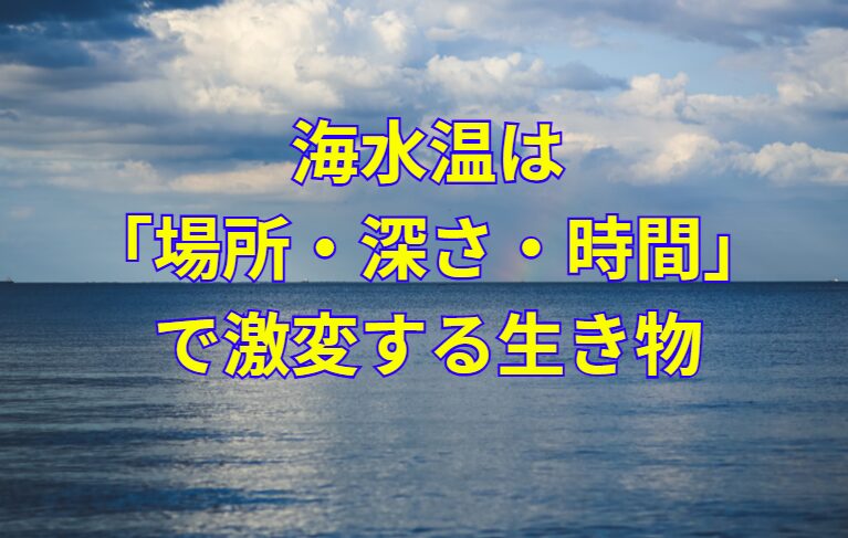 海水温は「場所・深さ・時間」で激変する生き物.釣太郎