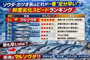 鮮度劣化カツオ系編。1位 マルソウダ2位 ハガツオ3位 カツオ4位 ヒラソウダ5位 ヤイトガツオ。釣太郎
