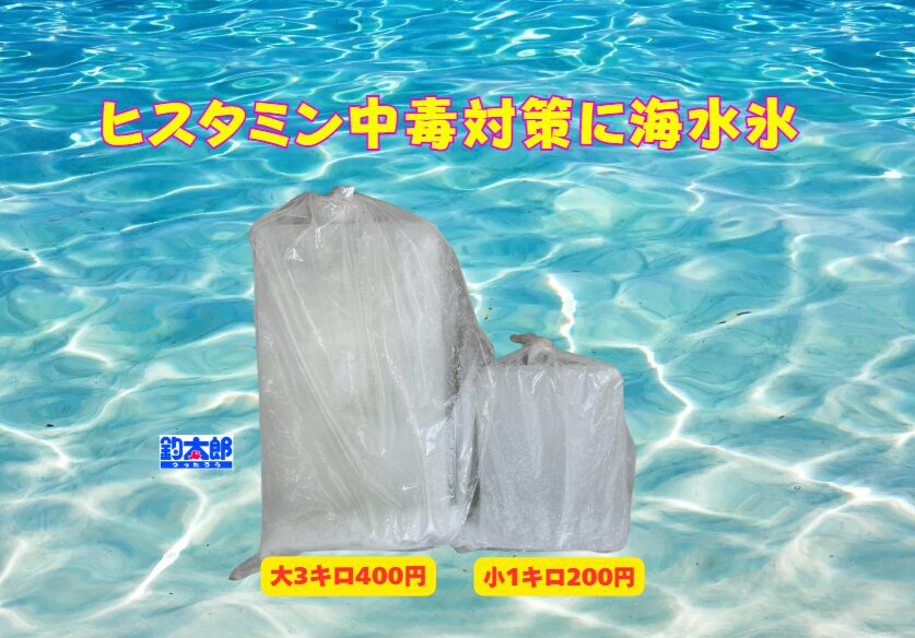 ヒスタミン食中毒に海水氷は有効。釣太郎の海水氷は１キロ200円、3キロ400円で販売しています。釣太郎