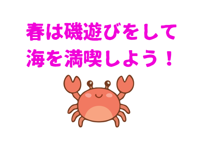 春は磯遊びが大人気。干潮時に浅瀬の小石をめくればカニやあエビが隠れています。釣太郎