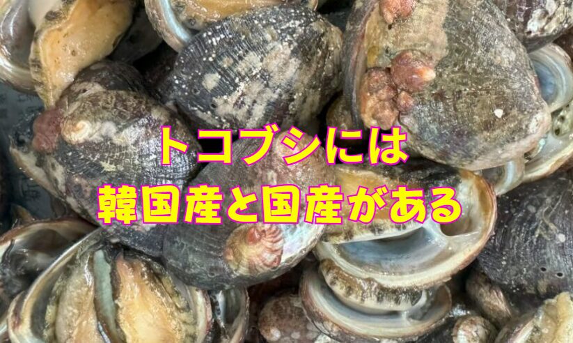 トコブシ（流れ子）殻に小さな貝（キクスズメ）が付いていればほぼ国産。韓国産は殻がきれいで付着物が少なく、冷凍流通が多い。釣太郎