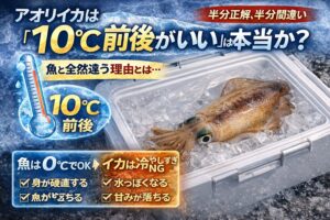 アオリイカ、魚 → 冷やせば冷やすほど良い・イカ → 冷やしすぎるとダメ。この真逆の性質。 「10℃がいい」というのは 優しく冷やせという意味.釣太郎