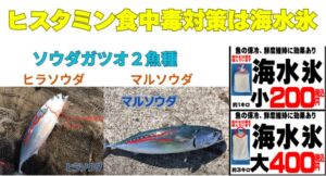 ヒスタミン食中毒は「温度管理」で防げる 鮮度が高くても危険 火を通してもダメ 冷凍しても残る だからこそ、釣り上げた瞬間から「温度を上げない」ことが全て。釣太郎