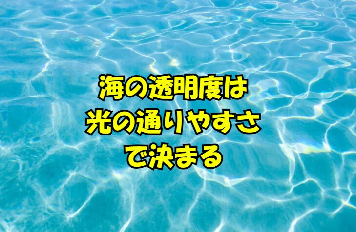 海の透明度は「光の通りやすさ」で決まり、濁りの原因はプランクトン・波・河川流入・海流など。釣太郎