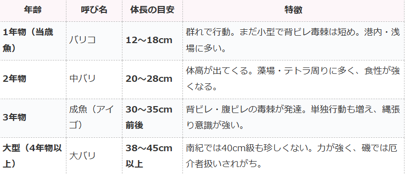 アイゴ（バリコ）年齢別サイズ一覧表。釣太郎