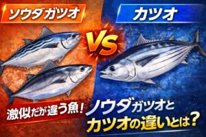鮮度劣化、ソウダガツオ vs カツオ。ダガツオ（特にマルソウダ）の方が明らかに早いです。釣太郎
