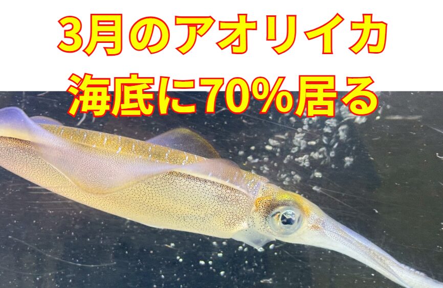 3月の南紀では、アオリイカが海底付近にいる時間は「1日の55〜80％」釣太郎