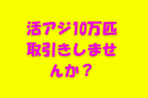 アオリイカ釣用えさ活アジ、不足しています。近々値上げ致します。10万匹探しています。釣太郎