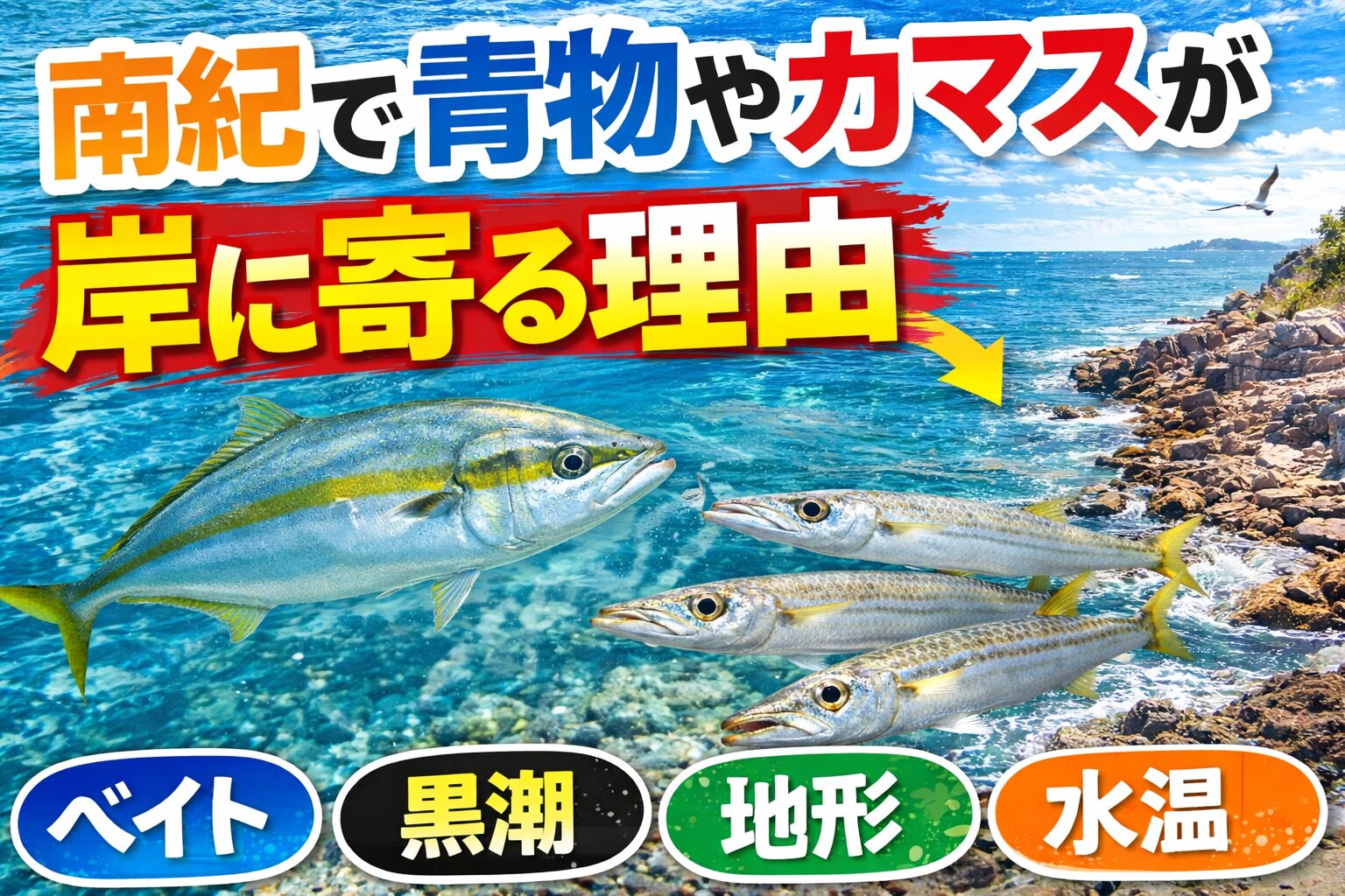 南紀で青物やカマスが岸に寄る最大の理由は、ベイトが岸に寄るから。 そこにさらに、黒潮の影響。潮通しの良さ。地形変化。水温の合致。朝夕の捕食タイミング。釣太郎