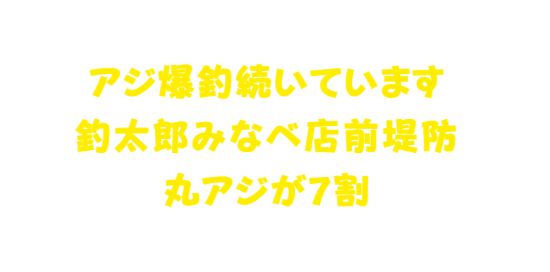 爆釣が続いているアジ釣りですが7割はマルアジ。この下にマアジがあります。釣太郎
