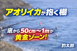 ヤエン釣りは“棚が命” アオリイカは棚が合わないと抱かない。底から50cm〜1mが黄金ゾーン 。潮・時間・地形で棚は変化するため、固定せず探るのが正解.釣太郎