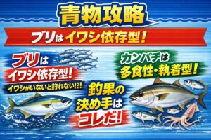 青物釣り参照、「ブリは「イワシ依存型」：イワシの群れの有無が釣果を180度変えます。カンパチは「多食性・執着型」：アジやイカがいればそこに居着きます。釣太郎