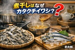 カタクチイワシは旨味成分が多く、煮干しに最適 。脂が少なく酸化しにくい＝保存性が高い。小型で加工しやすく、大量生産に向く。釣太郎