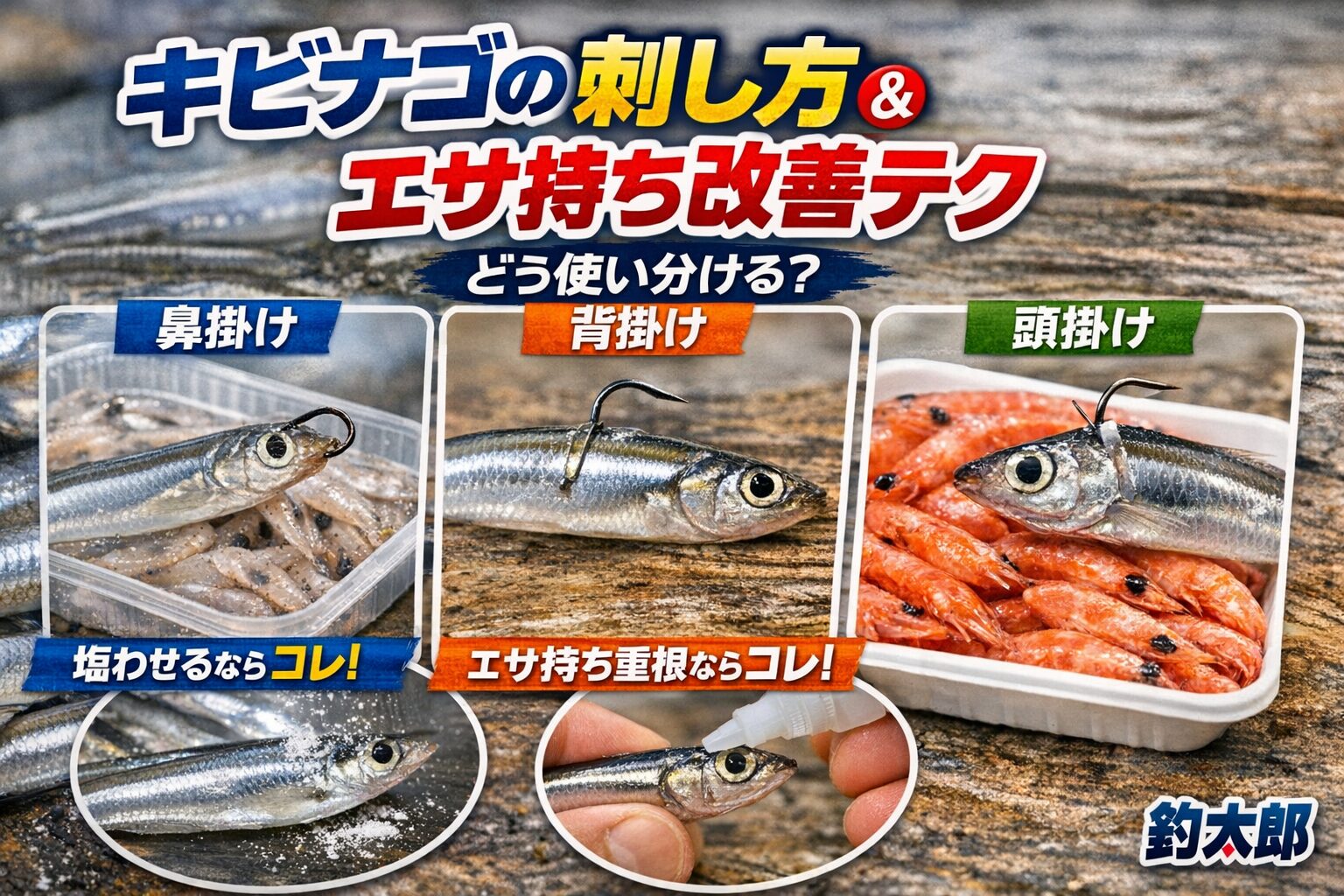 キビナゴの針のさし方① 鼻掛け（視覚アピール重視）② 背掛け（エサ持ち重視）③ 頭掛け（固定力最強）釣太郎