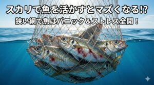 スカリは「仮置き」だけに使おう！スカリ長時間泳がせ → 疲労物質蓄積で熟成失敗の典型パターン 。釣太郎