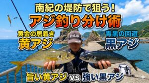 南紀の堤防で狙う！居着き「黄アジ」と回遊「黒アジ」の釣り分け方。釣太郎