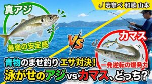 青物狙いでのませ釣り。泳がせするならアジとカマス、どちらがいい？釣太郎
