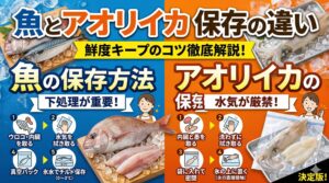 アオリイカは10℃意識で透明刺身を狙い、魚は低温重視で身の締まりを狙う。釣太郎
