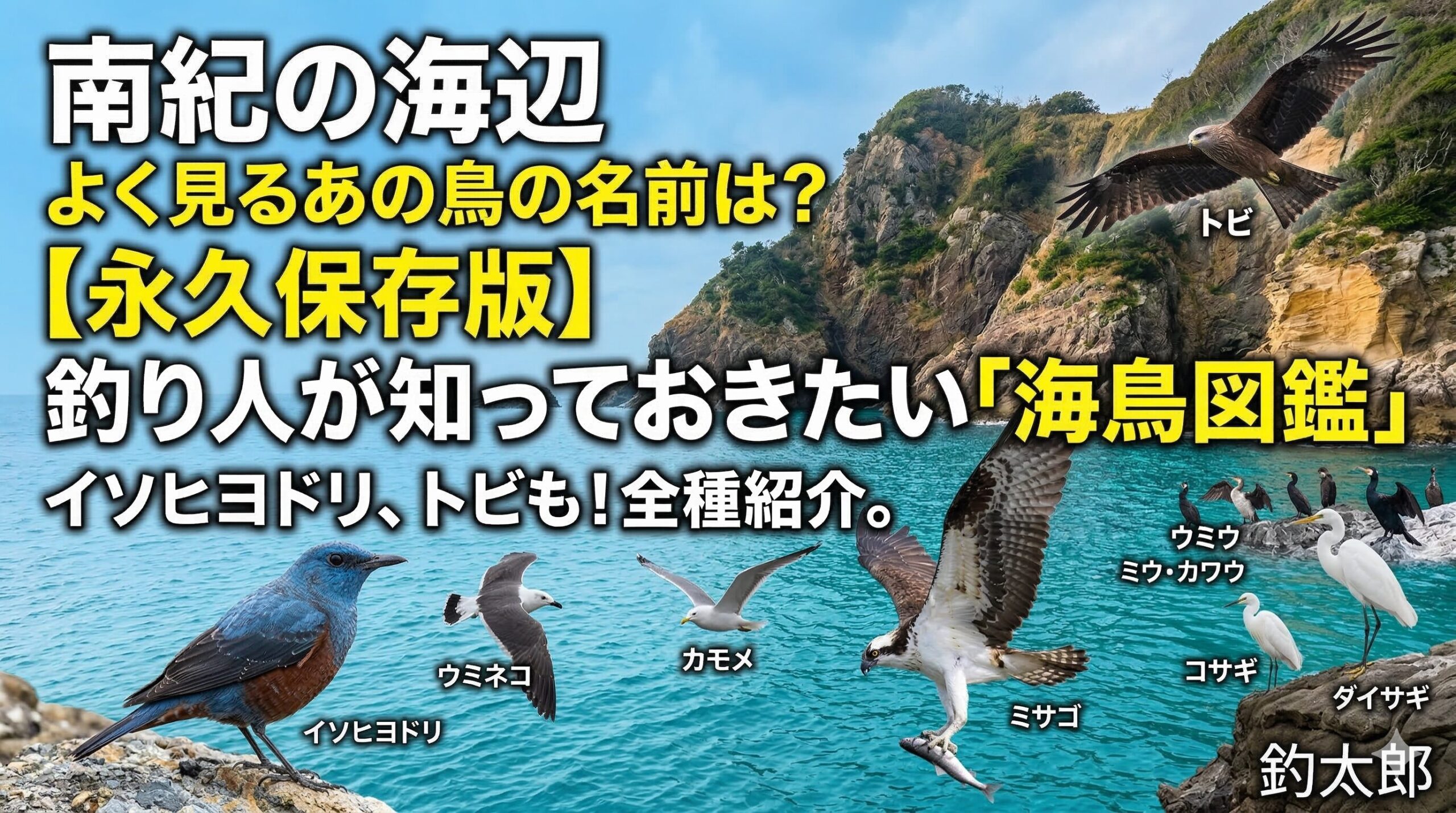 鳥を知れば釣りがもっと楽しくなる。海鳥たちは、私たち釣り人にとって最も身近な「海の相棒」釣太郎
