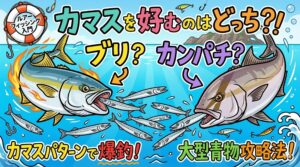 ブリとカンパチ、どっちがカマス好き？結論から言うと、どちらもカマスが大好物ですが、特にブリの執着心は凄まじいものがあります。釣太郎