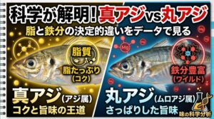 刺身で脂の甘みをダイレクトに楽しむなら、迷わずアジ属の「マアジ」。 塩焼きや干物にして、凝縮された魚本来のワイルドな旨味を味わうならムロアジ属の「マルアジ」。釣太郎