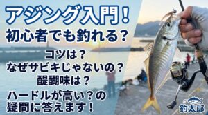 アジングは奥が深いですが、入り口はとても広くて優しい釣りです。釣太郎