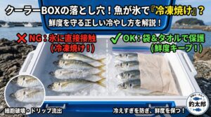 【クーラーボックスの落とし穴】魚が氷で「冷凍焼け」する原因と絶対防ぐ対策。釣太郎