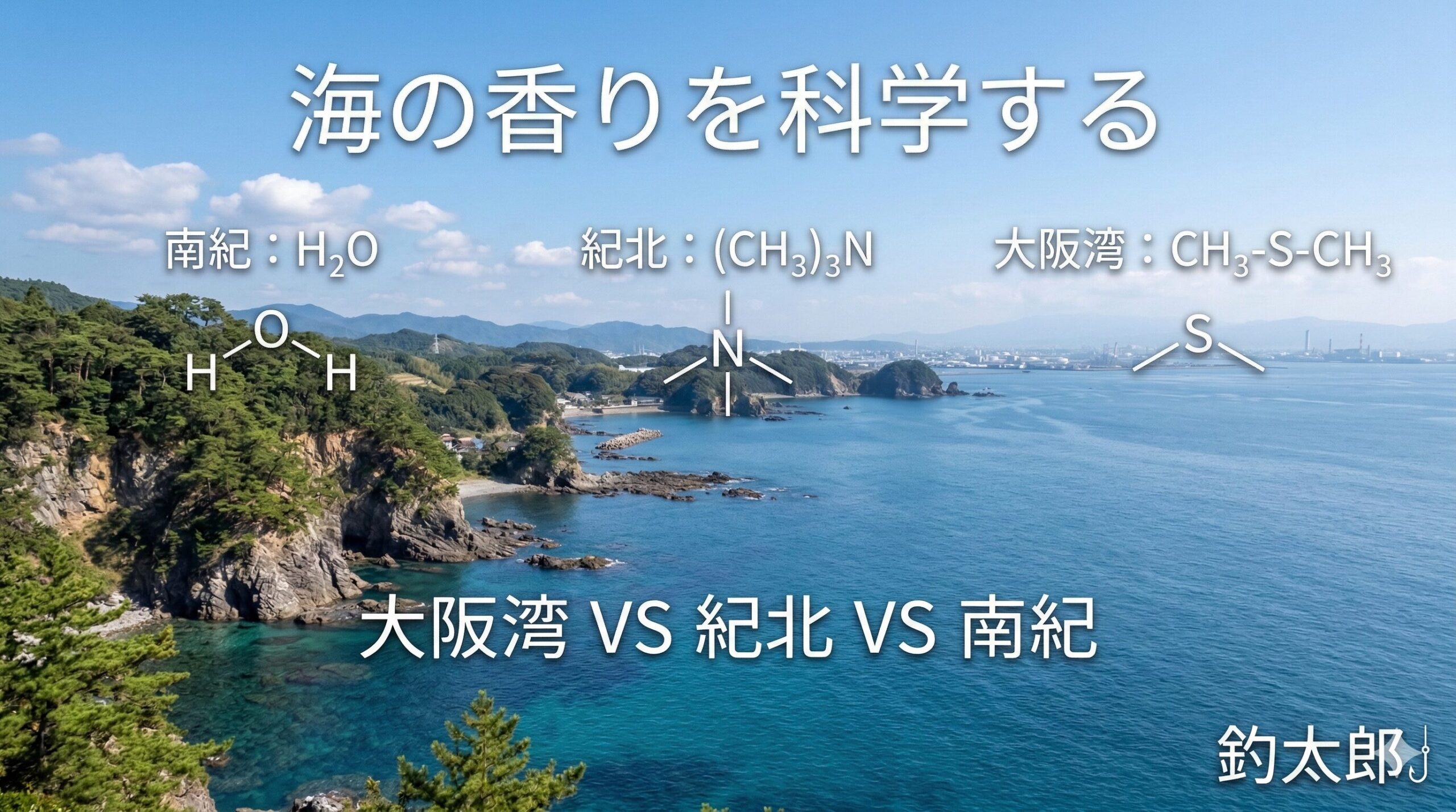 海の匂いはそこに含まれるプランクトンの量、底質、そして海流によって化学的に変化します。釣太郎