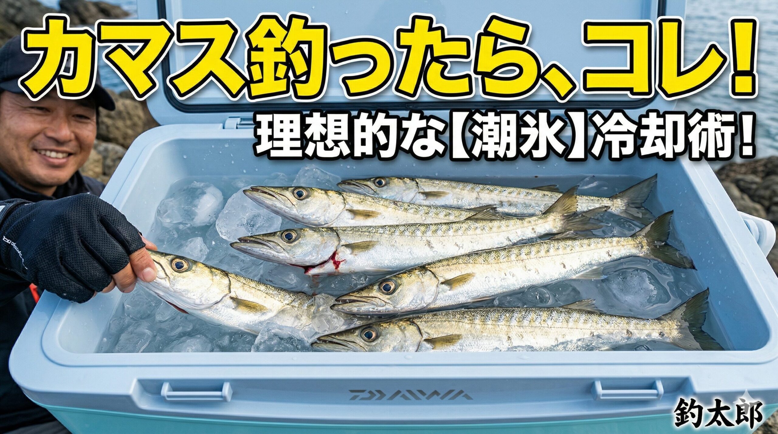 釣れたカマスはできればエラを少し切って血を抜いてからこの潮氷にドボンと入れるのが最高の処理方法。釣太郎
