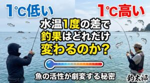 魚にとっての「水温1度」は、人間にとっての「気温5度」以上の差。釣太郎