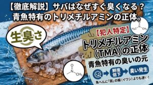 アジやタイに比べてサバの臭いが強く感じるのには、サバ特有のスピードが関係しています。表面の細菌繁殖が早い、水分の多さと自己消化。釣太郎