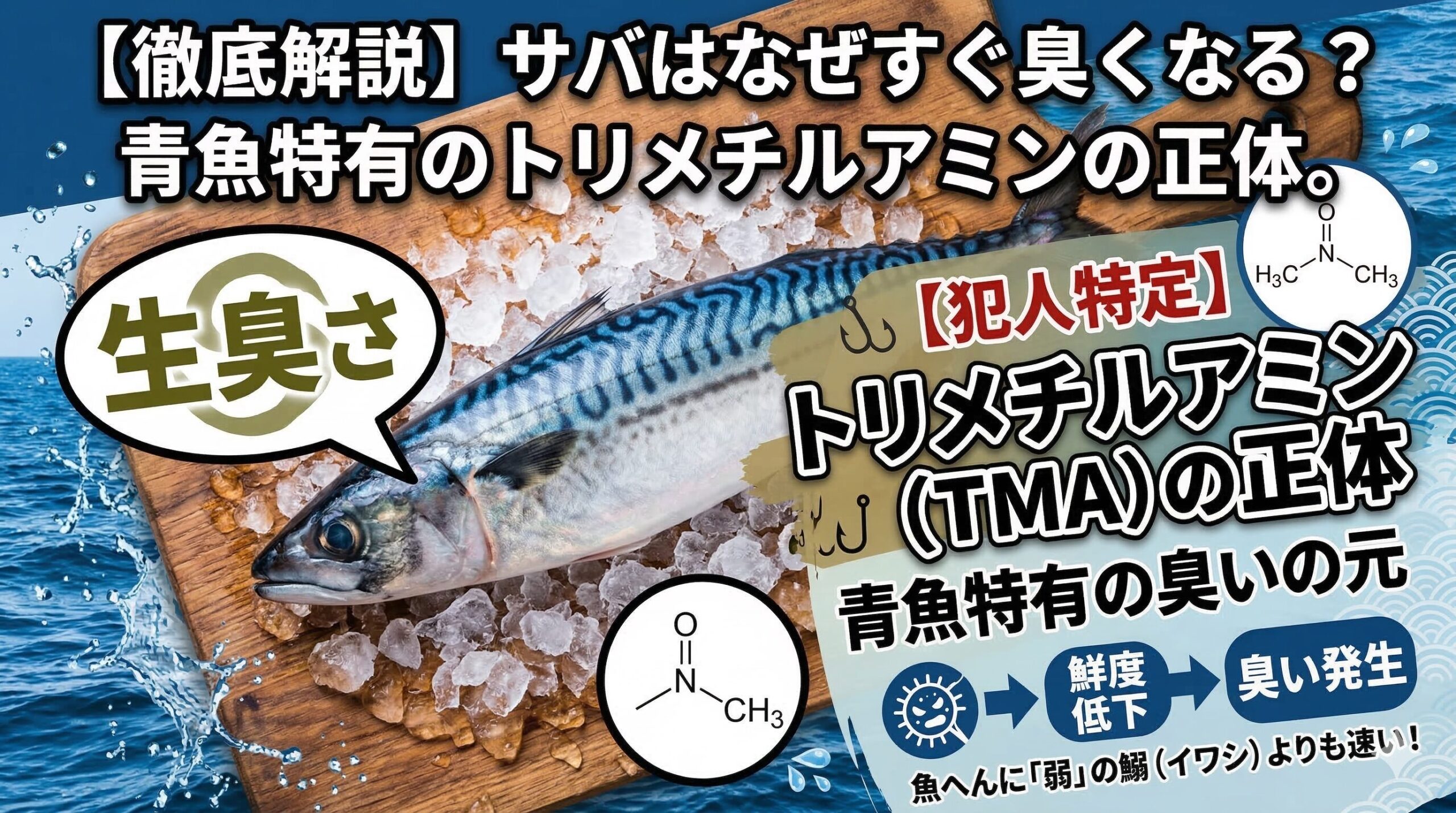 アジやタイに比べてサバの臭いが強く感じるのには、サバ特有のスピードが関係しています。表面の細菌繁殖が早い、水分の多さと自己消化。釣太郎