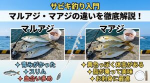 マルアジとマアジの違い。サビキ釣り入門。釣太郎