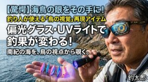 道具を使いこなして「鳥の眼」を手に入れよう 海鳥たちが持つ驚異的な視覚能力は、現代のテクノロジーによって少しずつ私たちの手にも届くようになっています.釣太郎