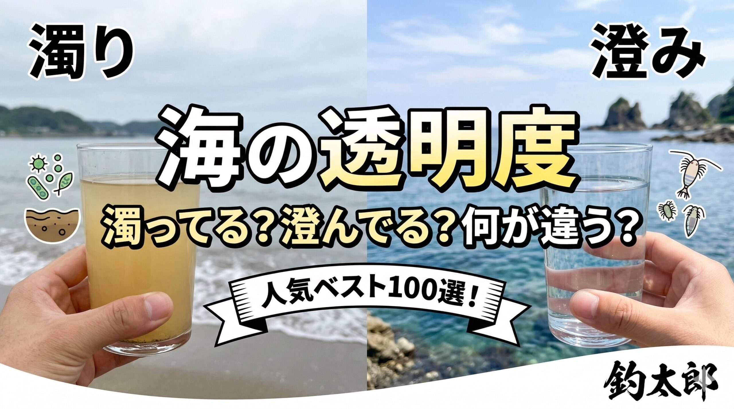 「海が綺麗」というのは、単に底が見えることではなく、多くの命が育まれている状態を指します。 濁っている日は「魚がエサを探しやすい日」、澄んでいる日は「魚と知恵比べをする日」。釣太郎