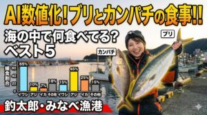 ブリは「イワシ依存型」：イワシの群れの有無が釣果を180度変えます。カンパチは「多食性・執着型」：イワシがいなくても、アジやイカがいればそこに居着きます。釣太郎