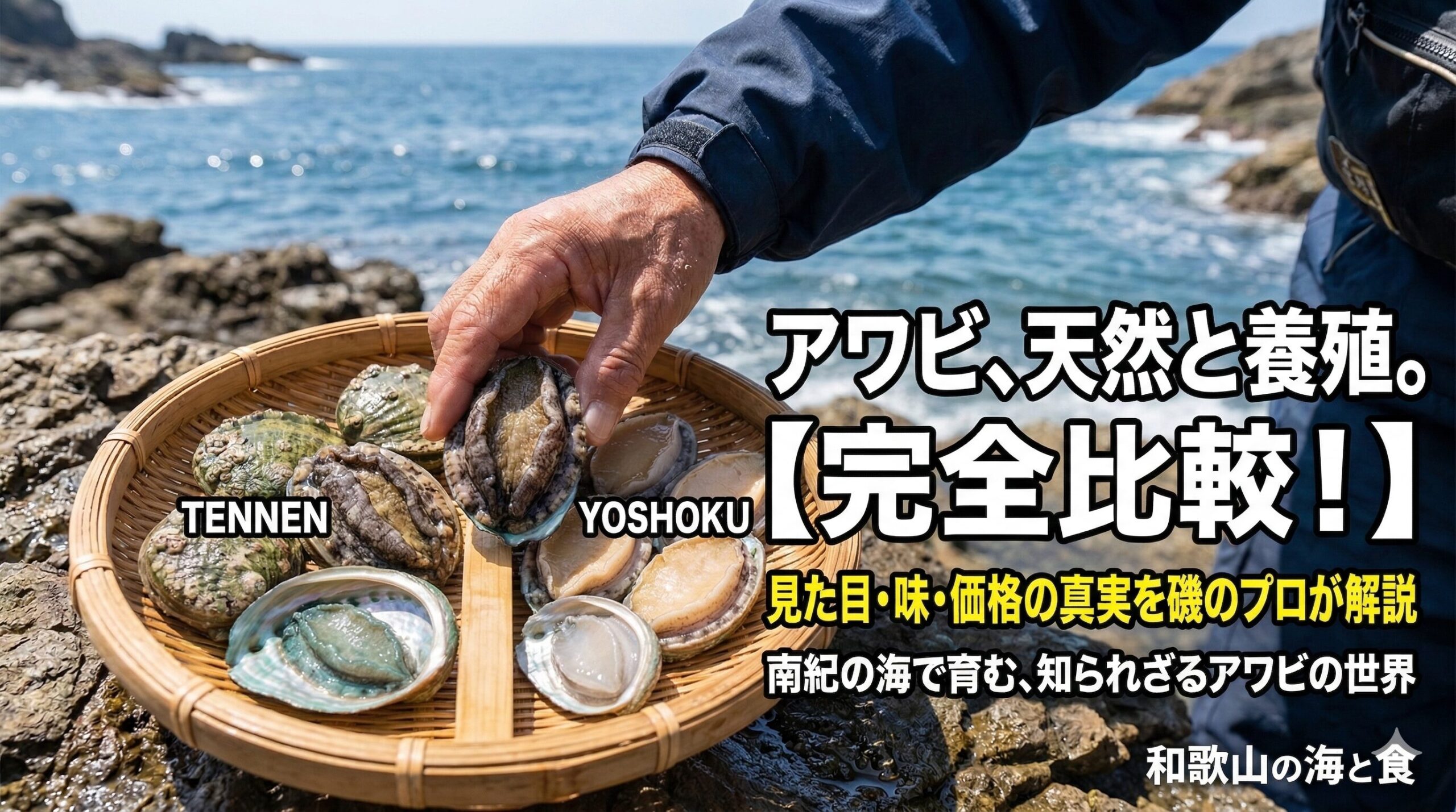 アワビは天然と養殖があるが、その差は魚とは違い僅差であり、わかる人は圧倒的に少ない。この違いをAIが科学的に数値化し違いを一覧表にしました。釣太郎