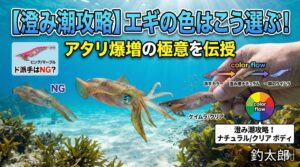 南紀のド澄み潮を攻略するエギのカラーは下地（テープ）は「ケイムラ」と「クリア」が最強です。釣太郎