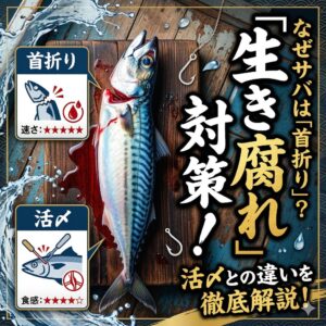サバの鮮度を語る上で欠かせないのが「首折り」ですが、これは単なる伝統ではなく科学的な「生き腐れ」対策の知恵。釣太郎