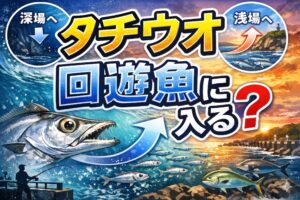 タチウオは回遊魚であり、強い群れ行動を持つ魚。夜間の浅場回遊が堤防釣りのチャンスを生む。釣太郎