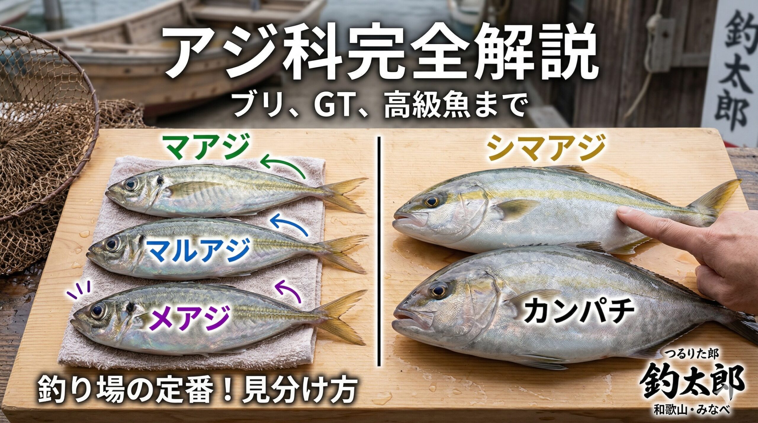 世界中に約150種類、日本近海だけでも50種類以上が確認されているアジ科の魚たち。釣太郎