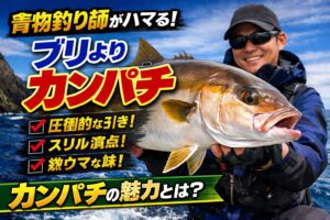 青物釣り師がブリよりカンパチを好む理由。強烈な引き、根に突っ込むファイト、ゲーム性の高さ、希少性、食味の良さ 。これらが合わさり、「青物の王者」と呼ばれる存在になっています。釣太郎